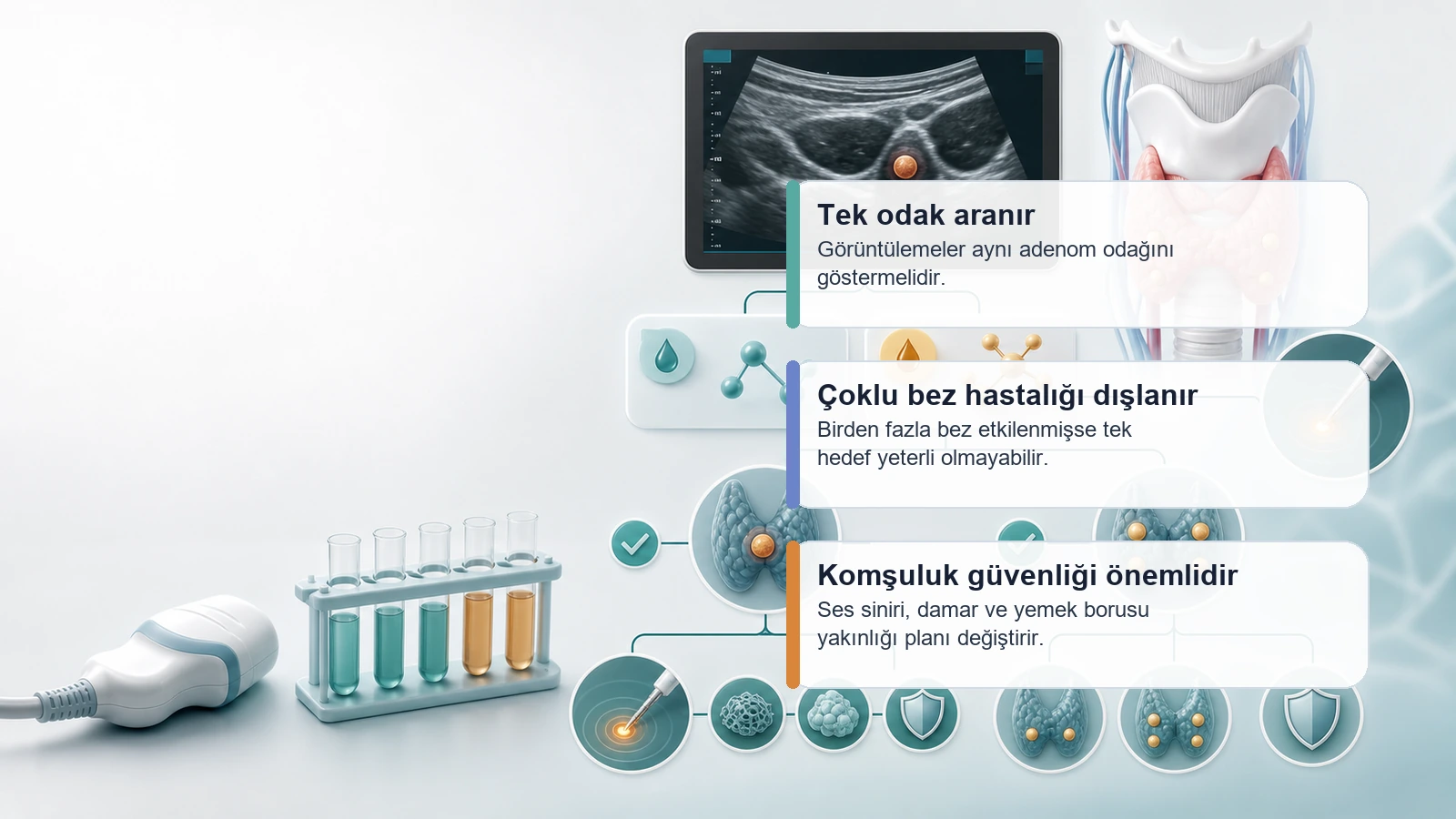 Paratiroid adenomunda ablasyon uygunluğu için tek odak ve güvenli komşuluk değerlendirmesini anlatan görsel