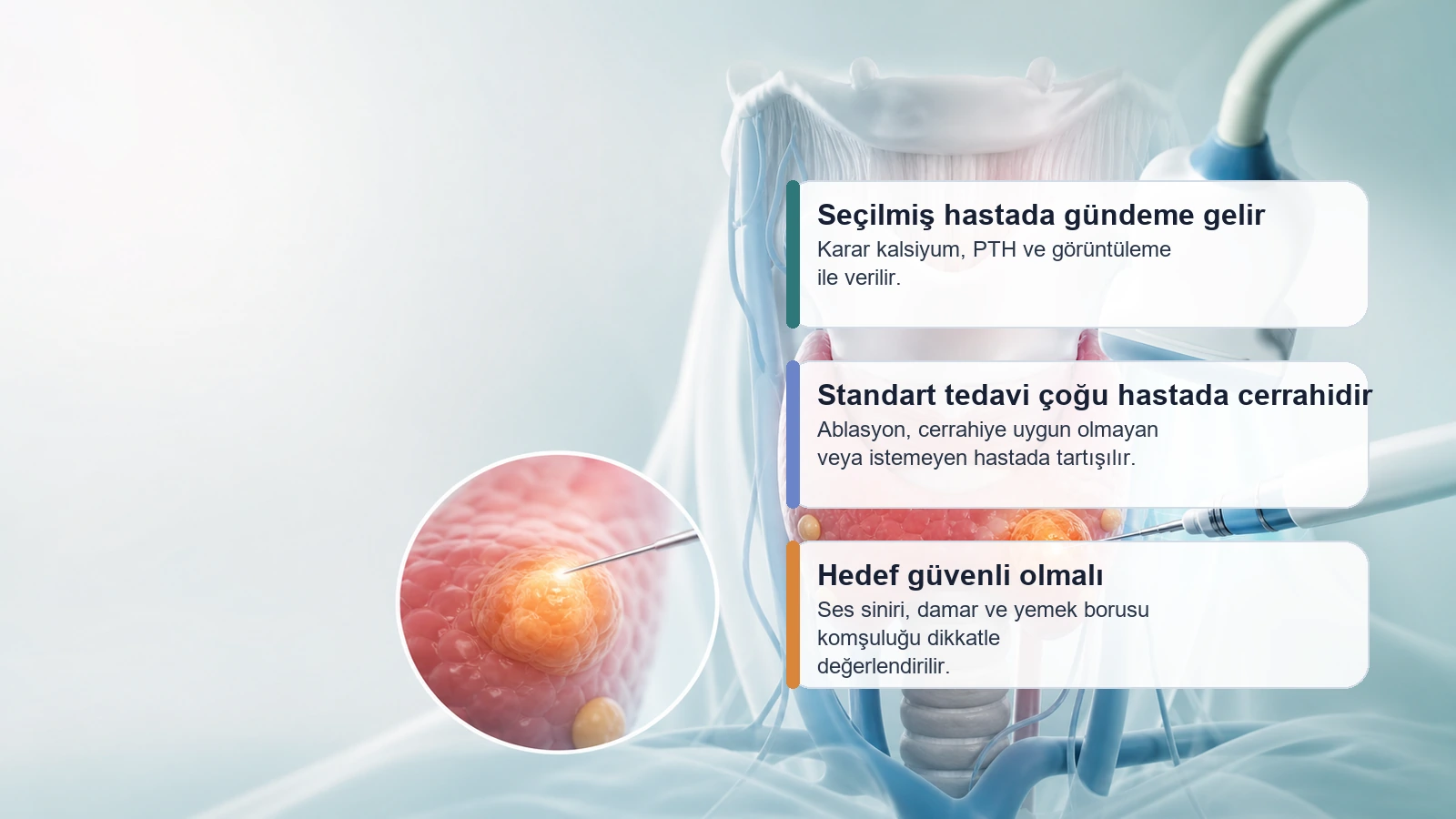 Paratiroid adenomunda ameliyatsız ablasyon seçeneğini ve güvenli hedef değerlendirmesini anlatan premium medikal görsel